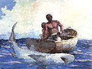 Winslow Homer Shark Fishing Spain oil painting reproduction